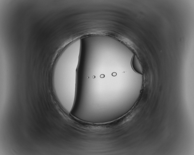 X0000085220349200703090832