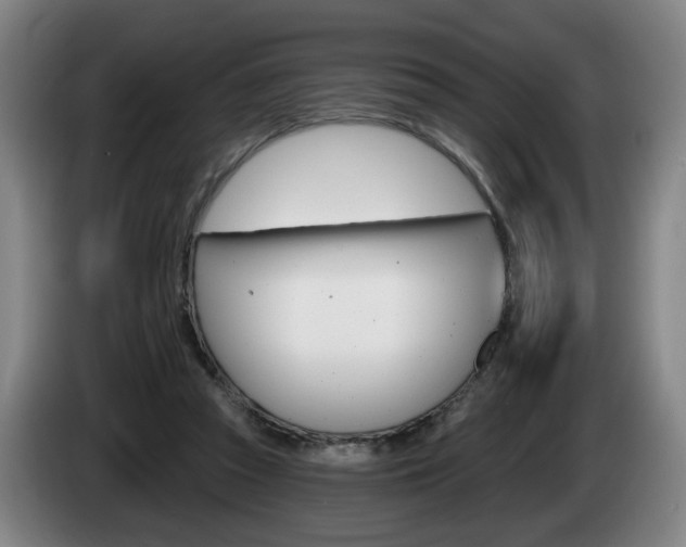 X0000085220353200703090833
