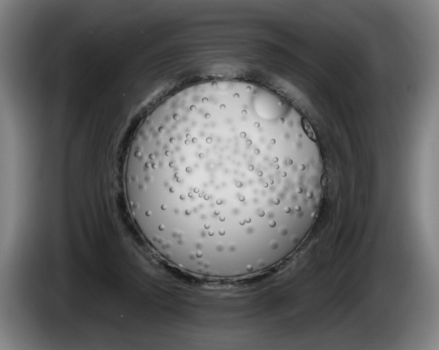 X0000085220354200703090833