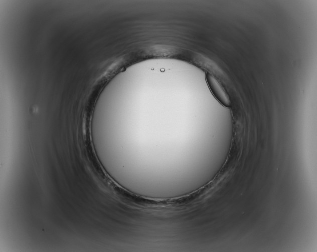 X0000085220358200703090833