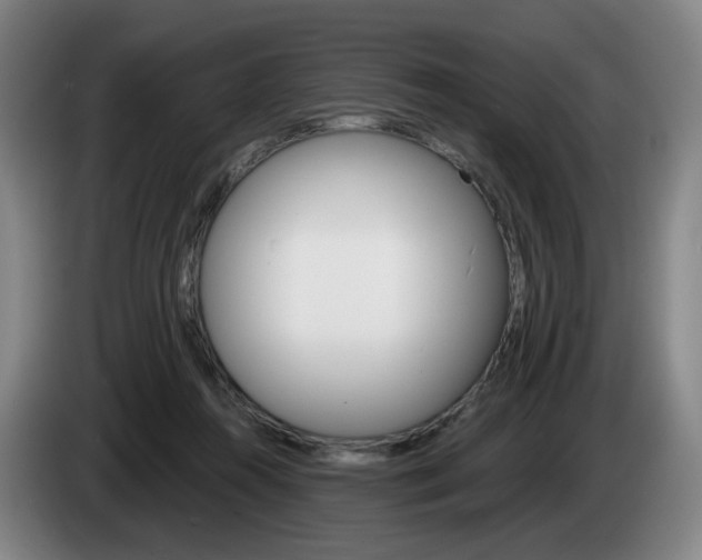 X0000085220360200703090833