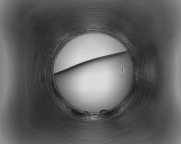 X0000085220365200703090833