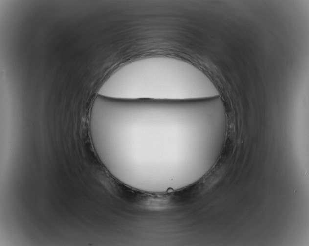 X0000085220369200703090833