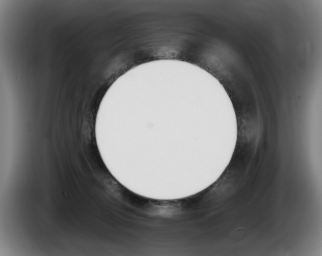 X0000085220370200703090833