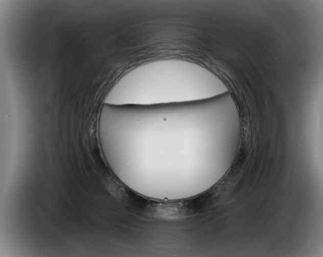 X0000085220373200703090833
