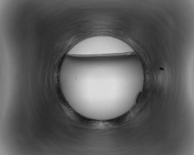 X0000085220379200703090833