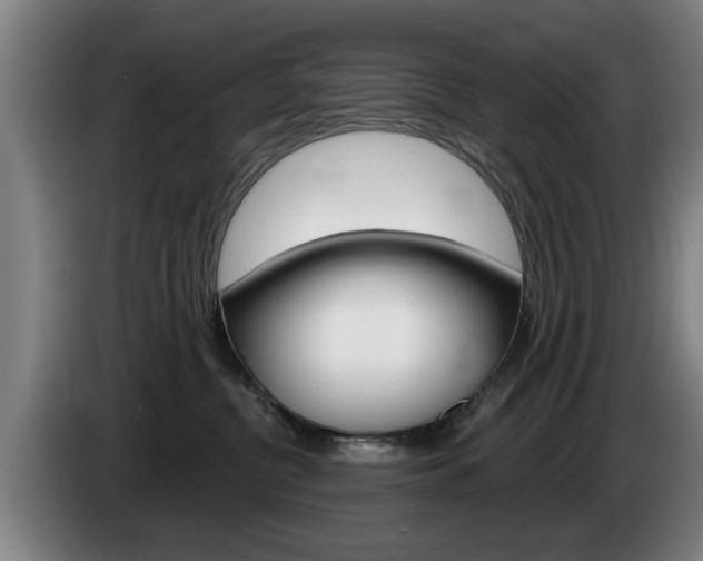 X0000085220380200703090833