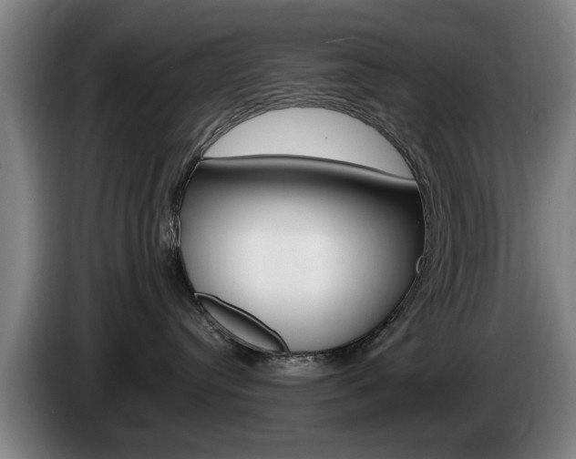 X0000085220384200703090833