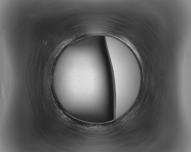 X0000085220385200703090832