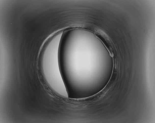 X0000085220388200703090832