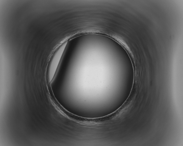 X0000085220389200703090832