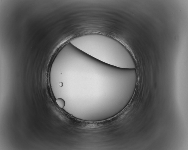 X0000085220390200703090832