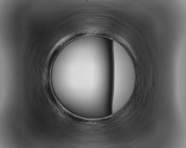 X0000085220392200703090832