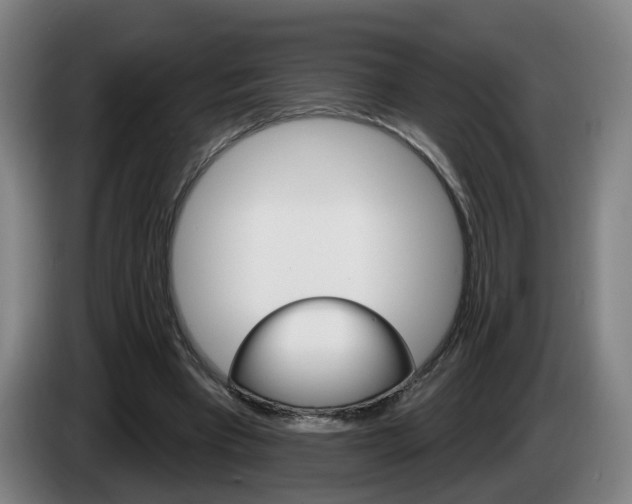 X0000085220393200703090832