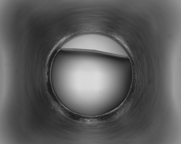 X0000085220395200703090832