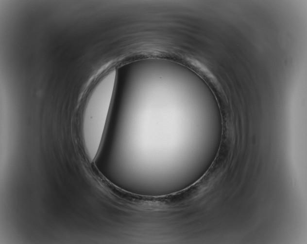 X0000085220399200703090832