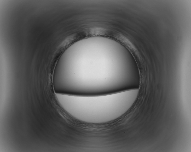 X0000085220401200703090832