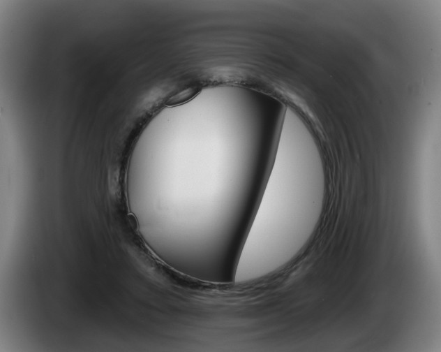 X0000085220403200703090832
