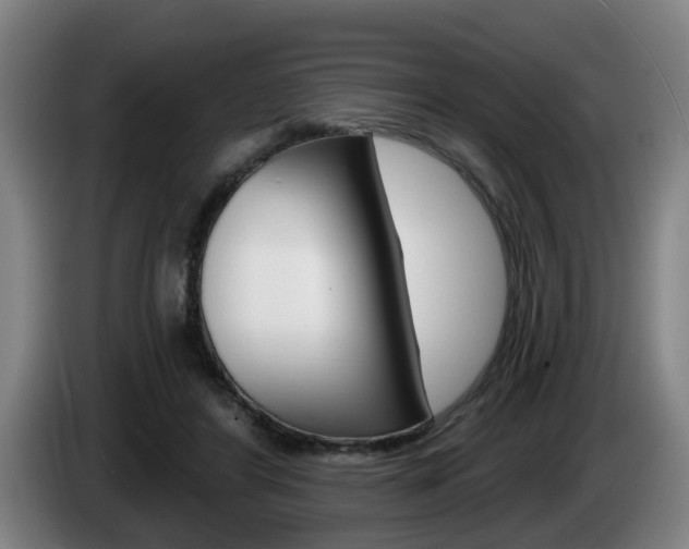 X0000085220404200703090832