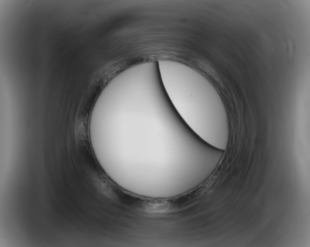 X0000085220410200703090832