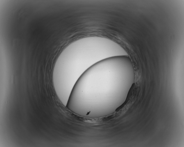X0000085220417200703090832