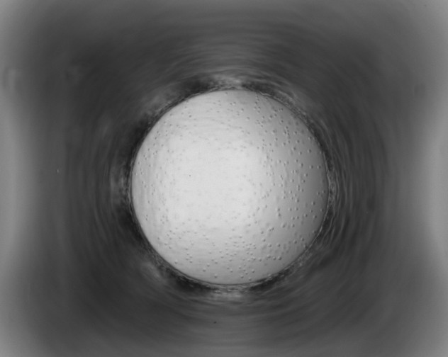 X0000085220418200703090832
