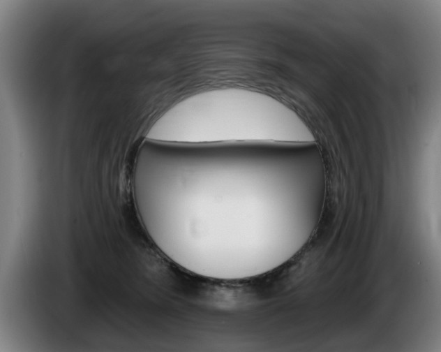 X0000085220420200703090832