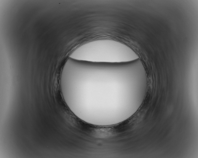 X0000085220422200703090832