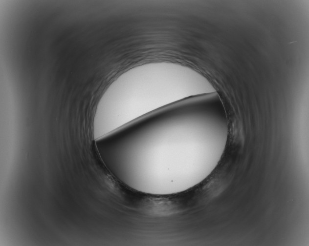 X0000085220424200703090832