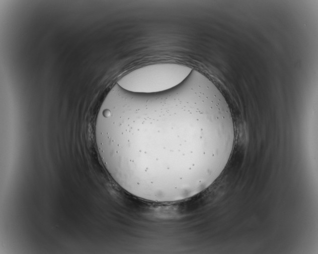 X0000085220426200703090832