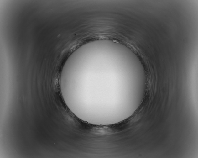 X0000085220427200703090832
