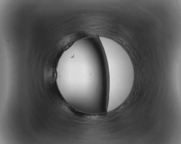 X0000085220428200703090832