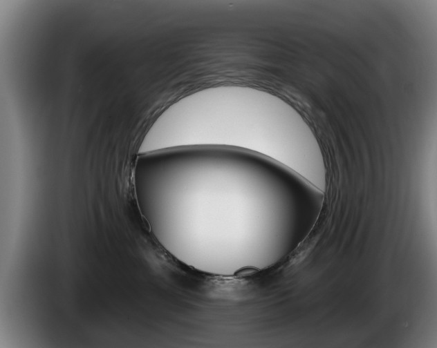 X0000085220429200703090832
