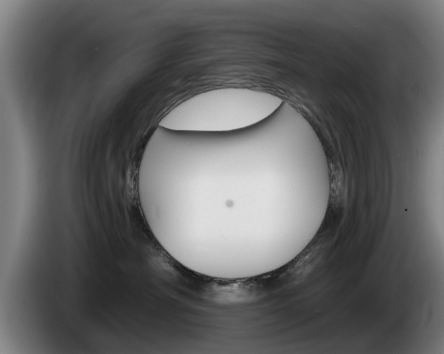 X0000085220430200703090832