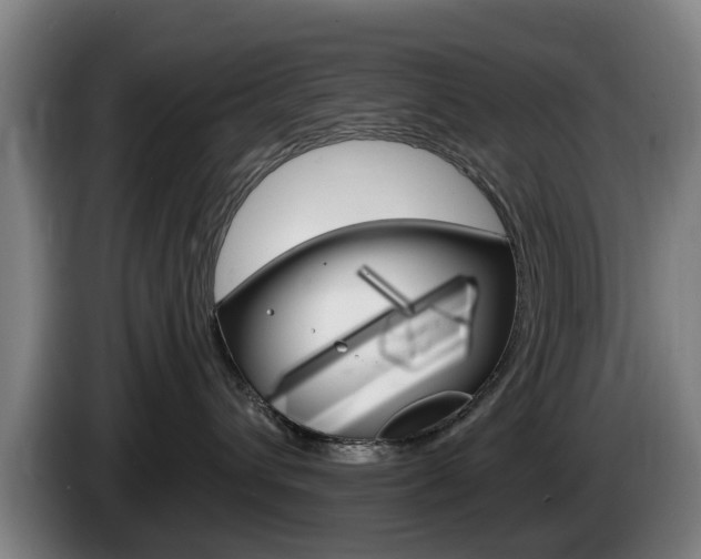 X0000085220432200703090832