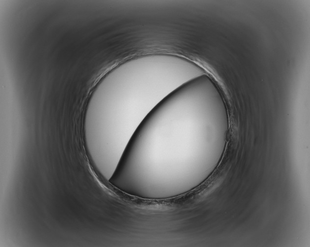 X0000085220433200703090831