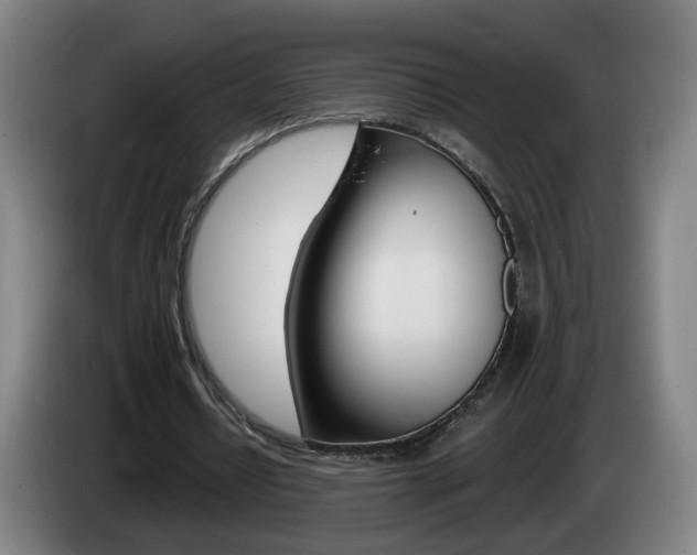 X0000085220434200703090831