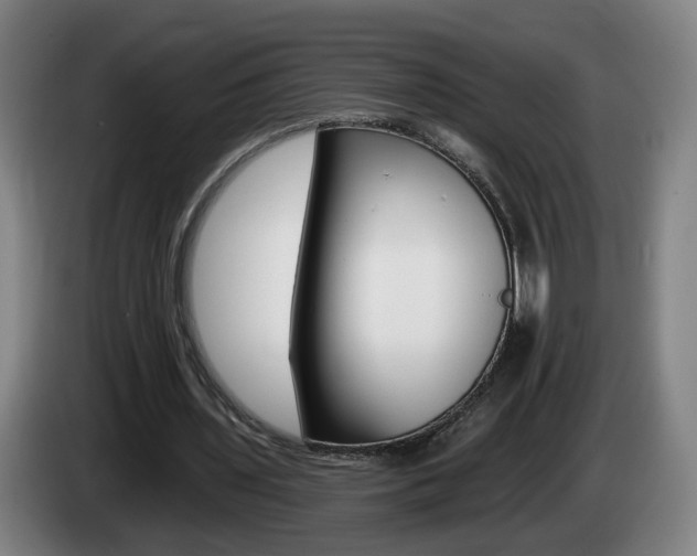 X0000085220435200703090831
