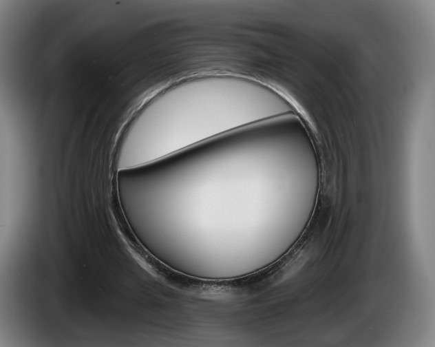 X0000085220437200703090831