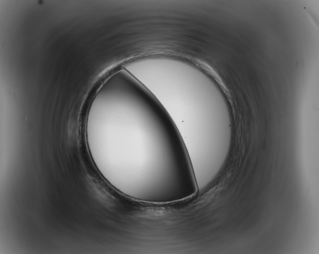 X0000085220439200703090831