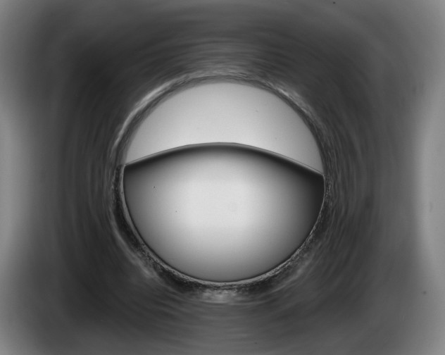 X0000085220440200703090831