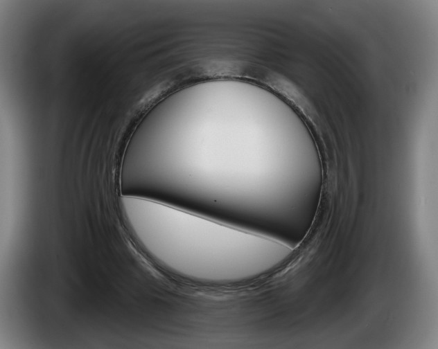 X0000085220441200703090831