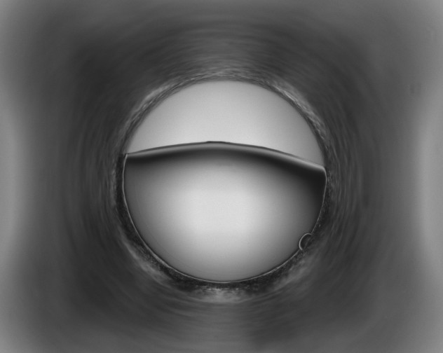 X0000085220442200703090831