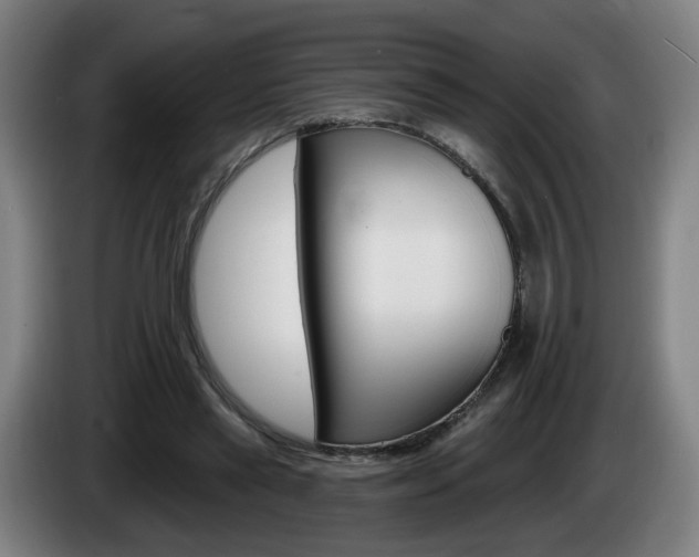 X0000085220445200703090831