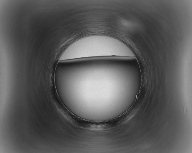 X0000085220450200703090831