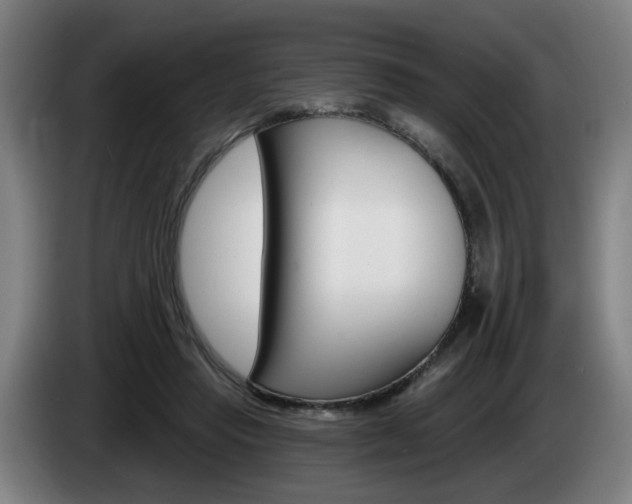 X0000085220453200703090831