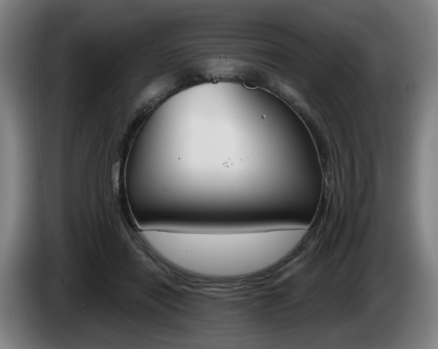X0000085220454200703090831