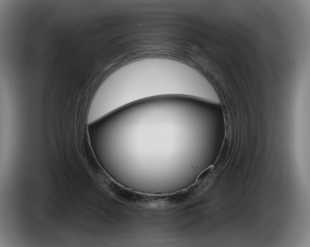 X0000085220456200703090831