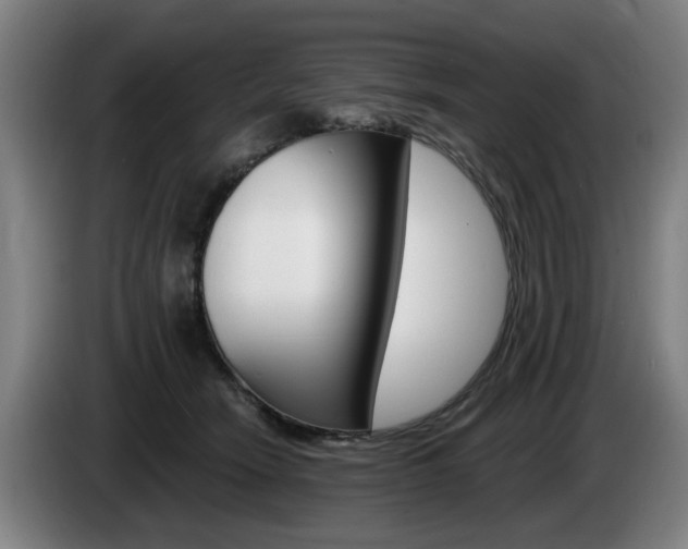 X0000085220466200703090831
