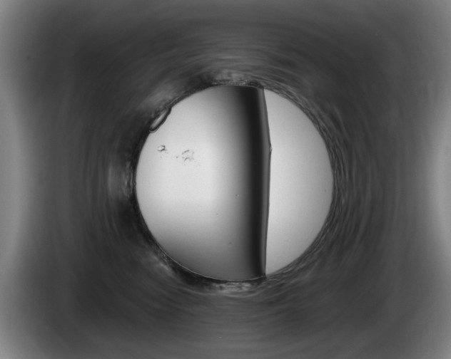 X0000085220474200703090832